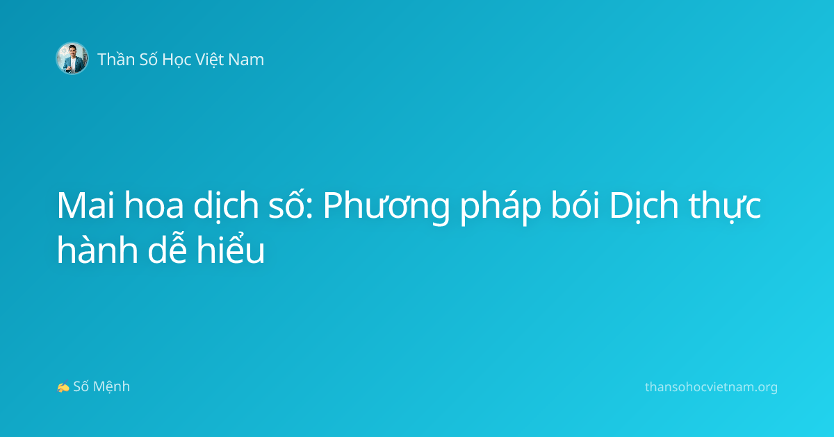Mai hoa dịch số: Phương pháp bói Dịch thực hành dễ hiểu